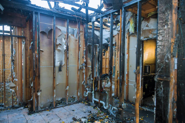 Professional Odor Removal technician working in Middleborough Center, MA